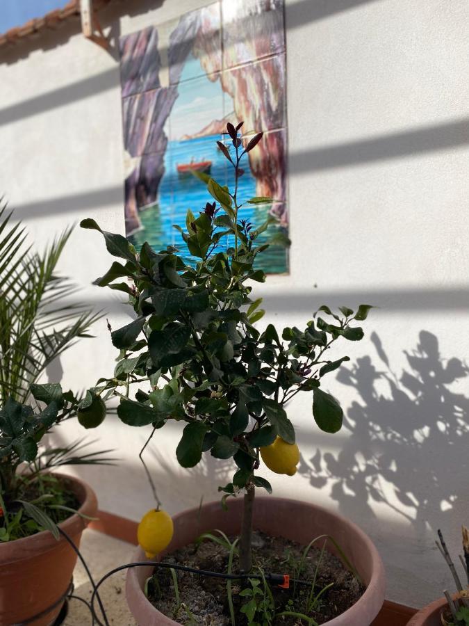 Medusa Exclusive Rooftop Taormina Apartment ภายนอก รูปภาพ